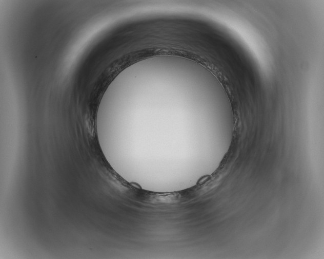 X0000111880479200907231431