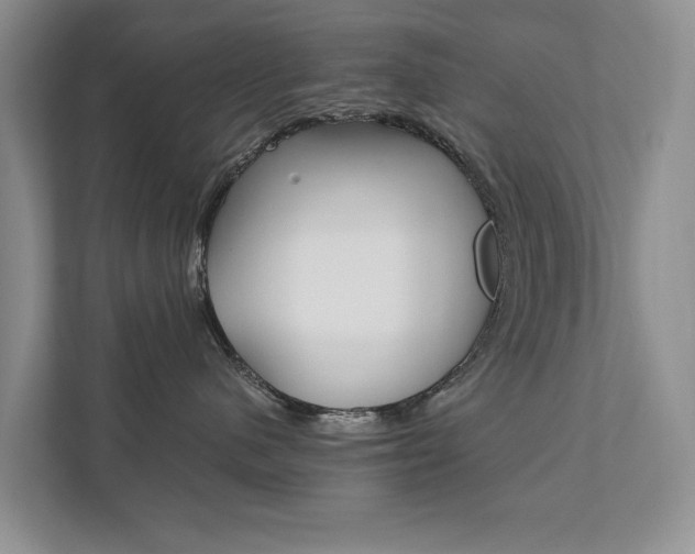 X0000111880480200907231431