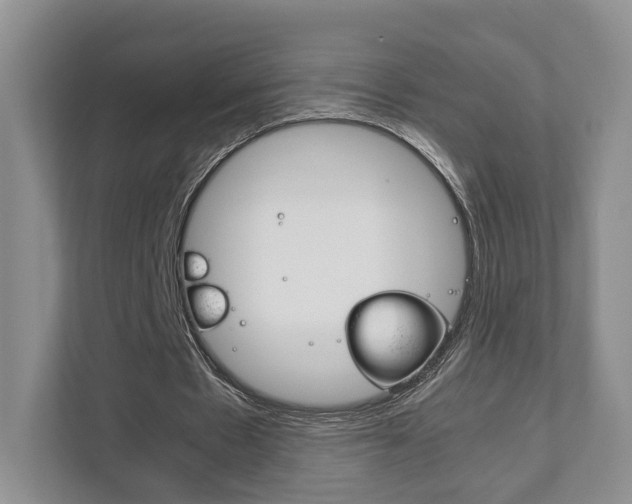 X0000111880481200907231430