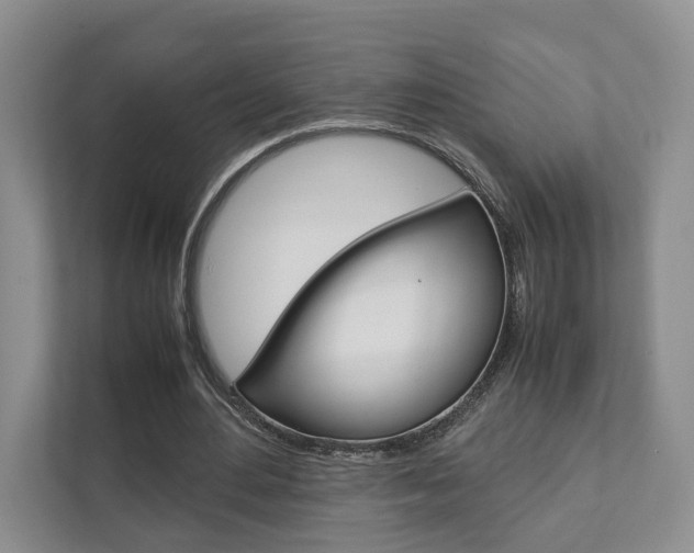 X0000111880484200907231430