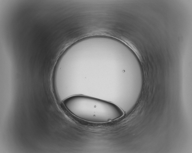 X0000111880485200907231430