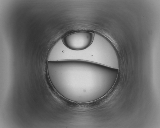 X0000111880489200907231430