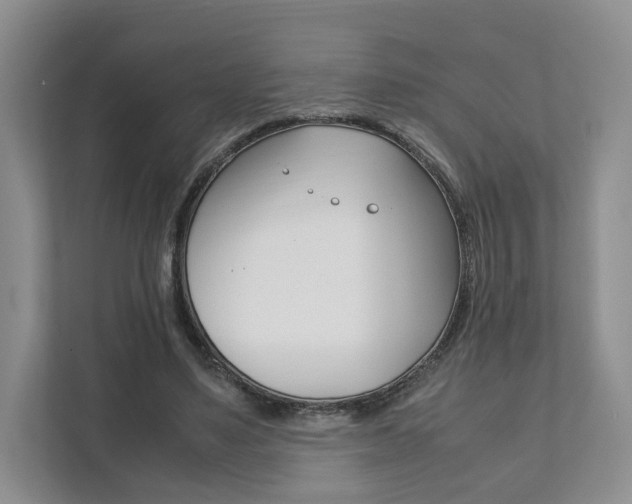 X0000111880491200907231430