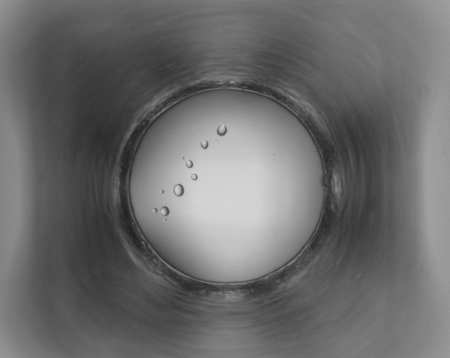 X0000111880492200907231430