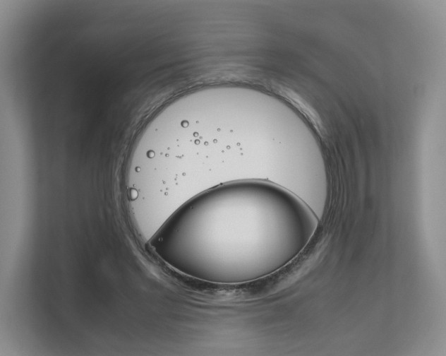 X0000111880493200907231430