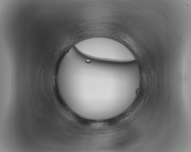 X0000111880499200907231430