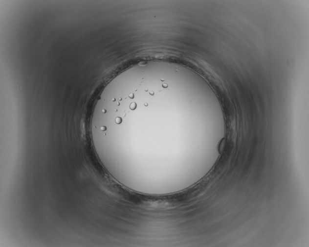 X0000111880500200907231430