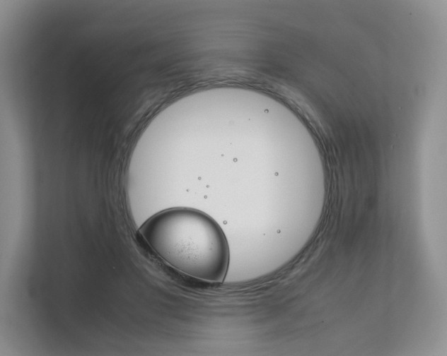 X0000111880501200907231430