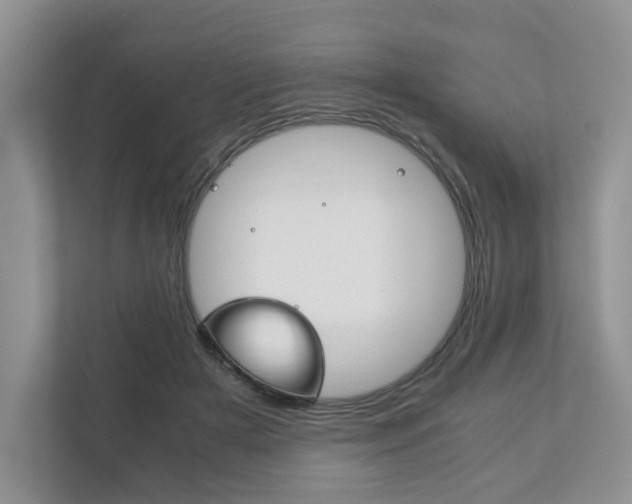 X0000111880505200907231430