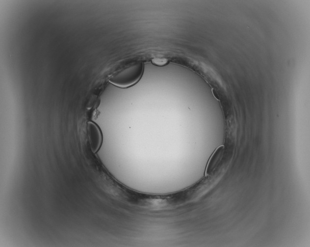 X0000111880509200907231430