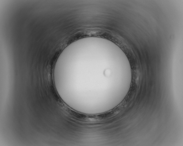X0000111880510200907231430