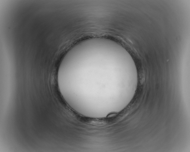 X0000111880515200907231430