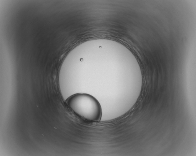 X0000111880520200907231430