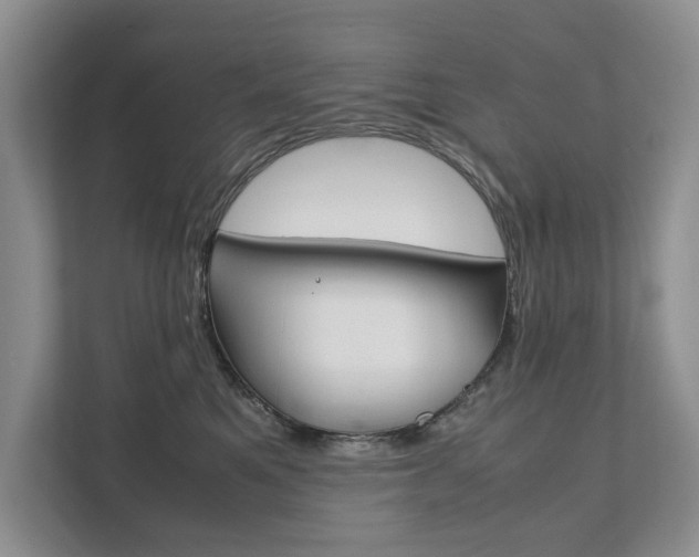 X0000111880521200907231430