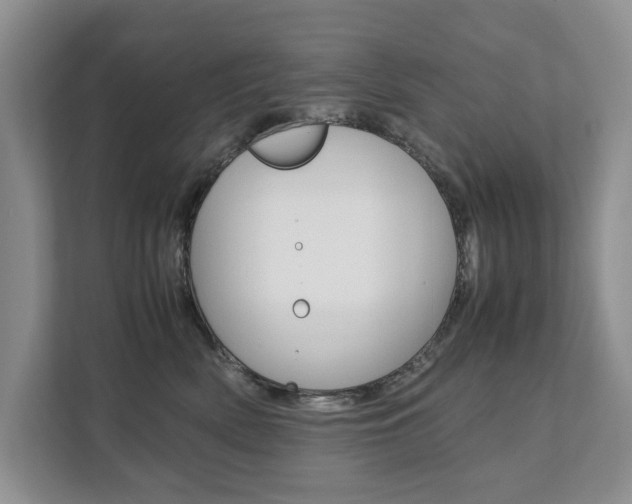 X0000111880522200907231429
