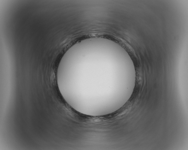 X0000111880523200907231429