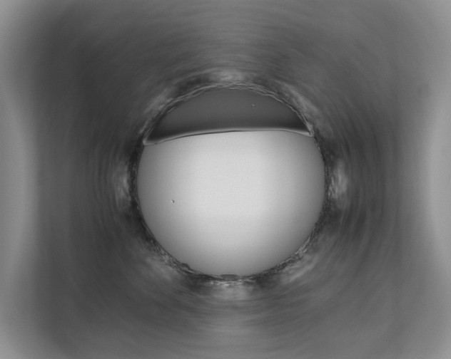 X0000111880524200907231429
