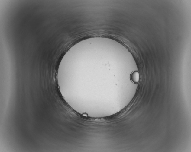 X0000111880525200907231429