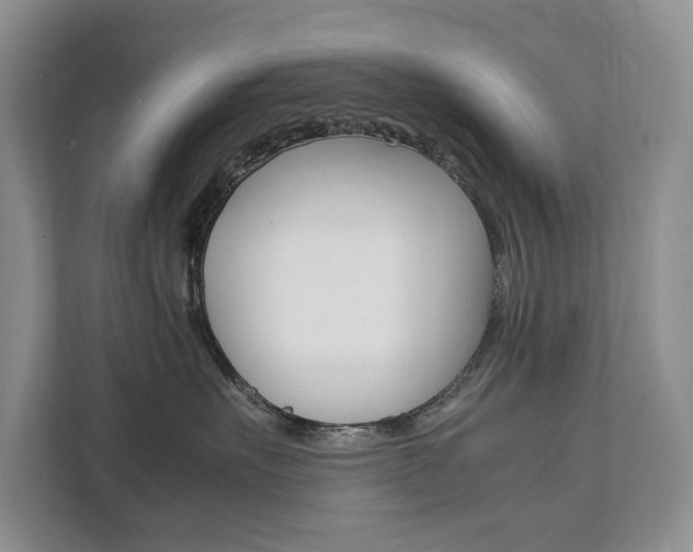 X0000111880527200907231429