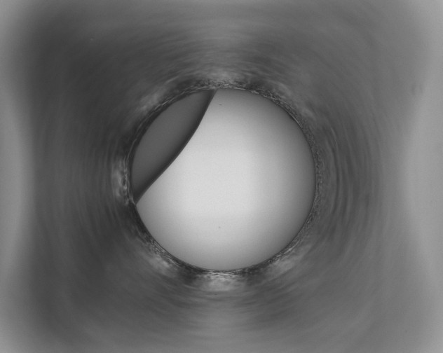 X0000111880528200907231429