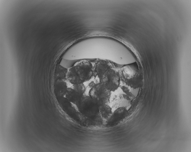 X0000111880529200907231429