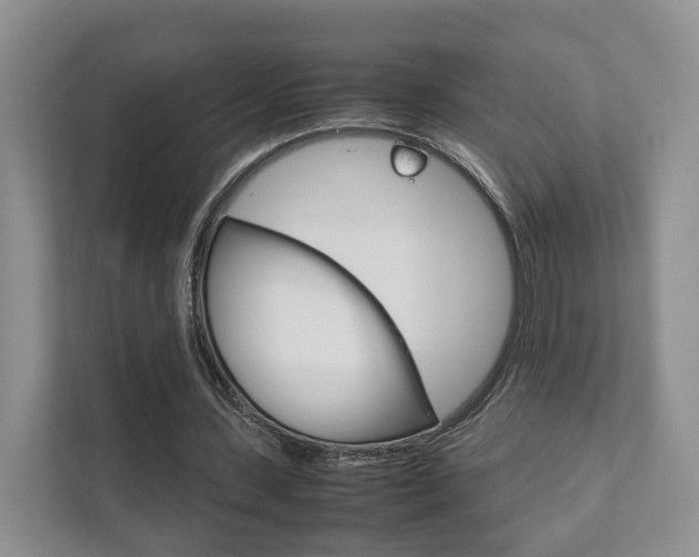 X0000111880531200907231429