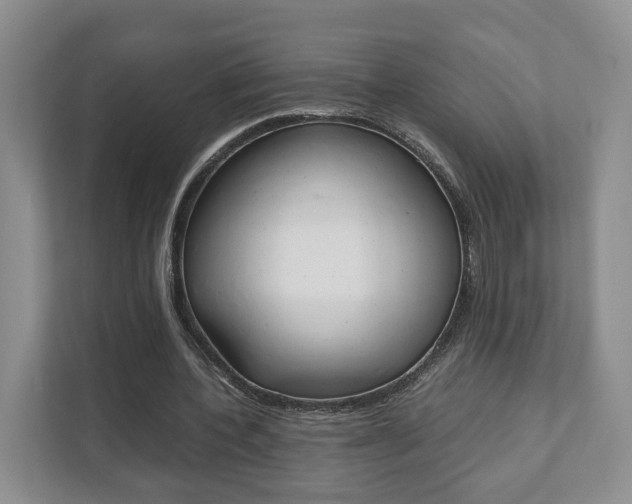 X0000111880532200907231429