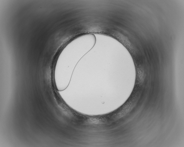 X0000111880534200907231429