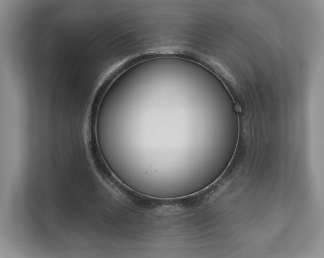 X0000111880536200907231429