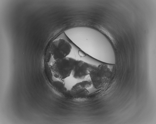 X0000111880537200907231429