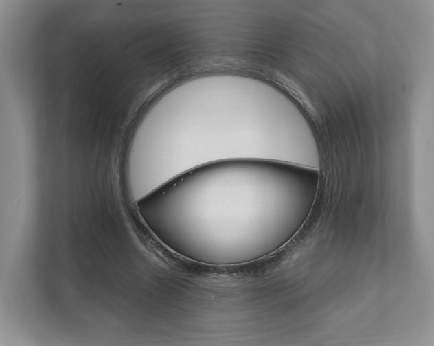 X0000111880538200907231429