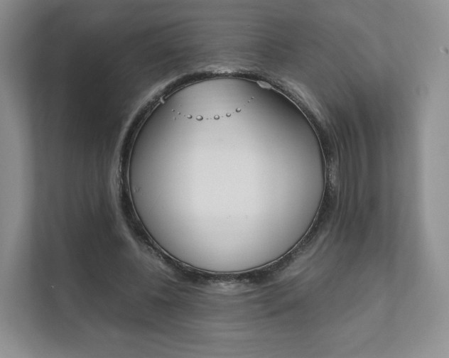 X0000111880540200907231429