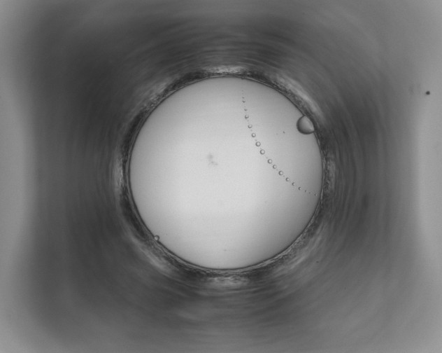 X0000111880541200907231429