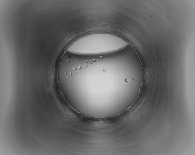 X0000111880544200907231429