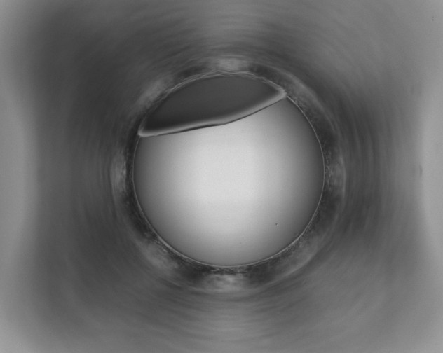 X0000111880552200907231429