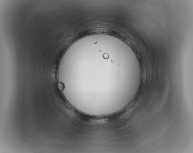 X0000111880553200907231429