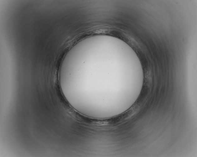 X0000111880554200907231429