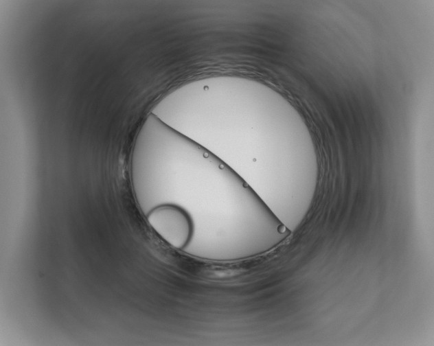 X0000111880555200907231429