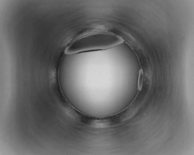 X0000111880556200907231429