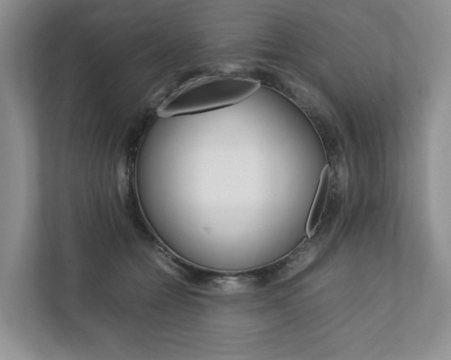 X0000111880558200907231429