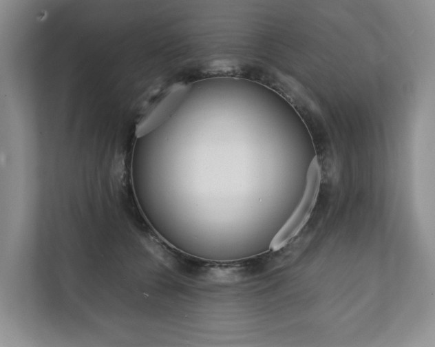 X0000111880560200907231429