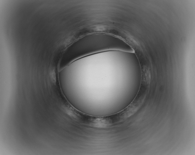 X0000111880562200907231429