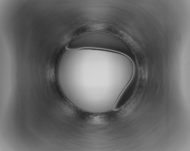 X0000111880564200907231429