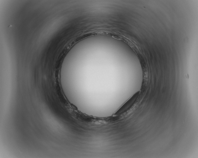 X0000111880572200907231429
