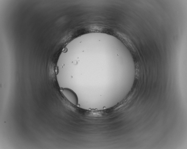 X0000111880573200907231429