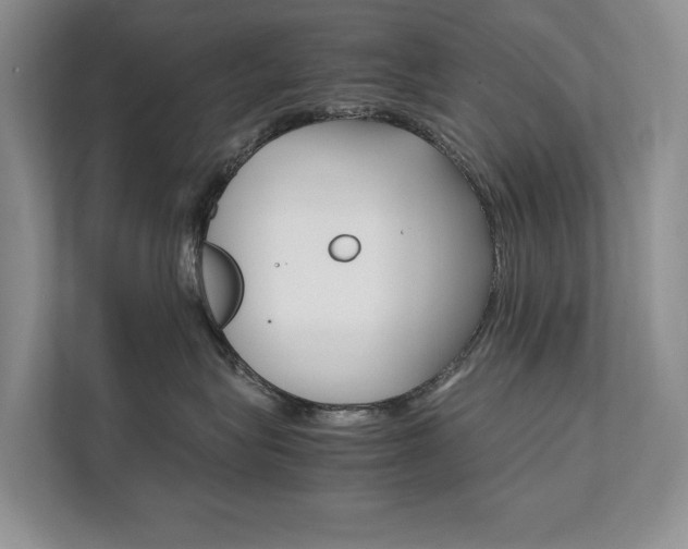 X0000111880575200907231429