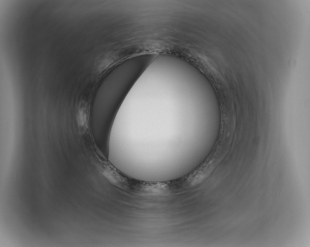 X0000111880576200907231429