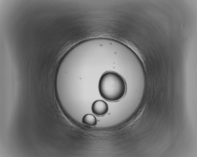 X0000111880577200907231429
