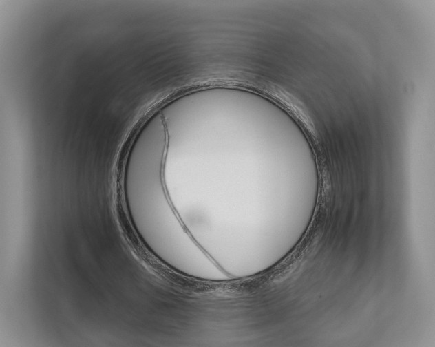 X0000111880578200907231429