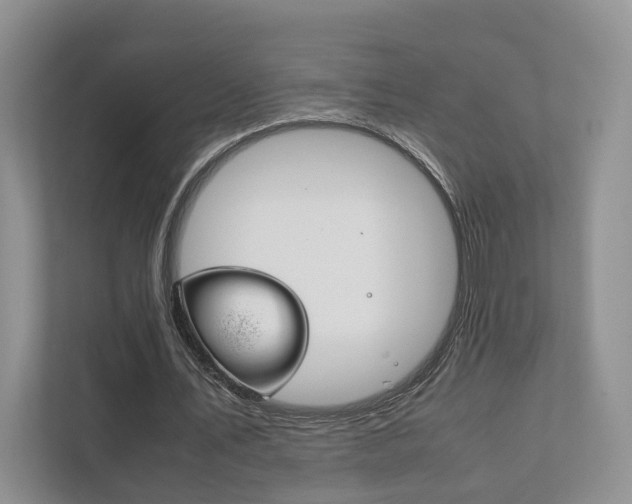 X0000111880579200907231429